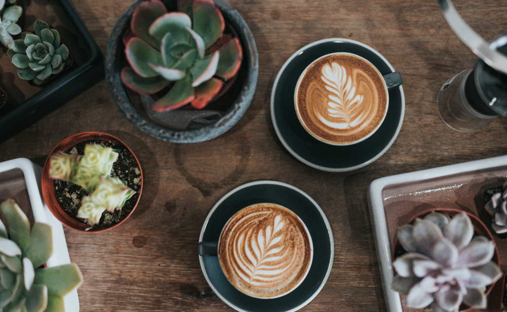 groente koffie femfem