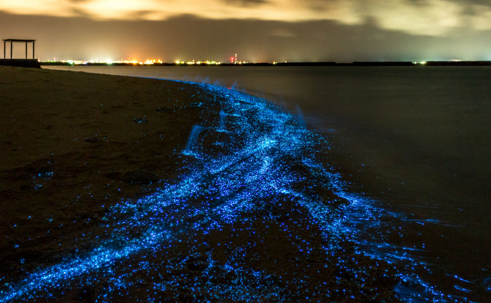 Sea of Stars malediven fem fem