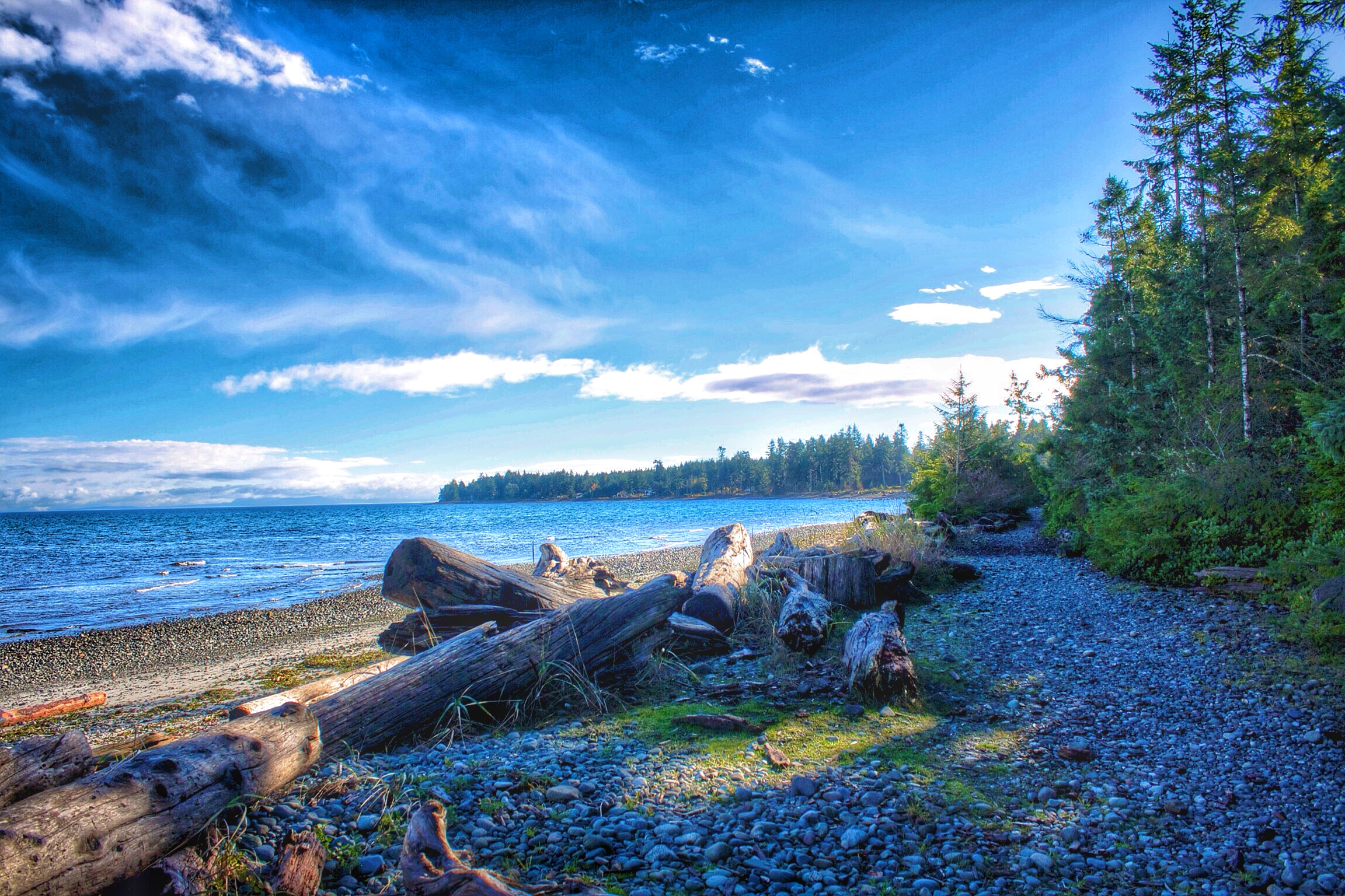Afternoon at a Beach in Northern Vancouver Island