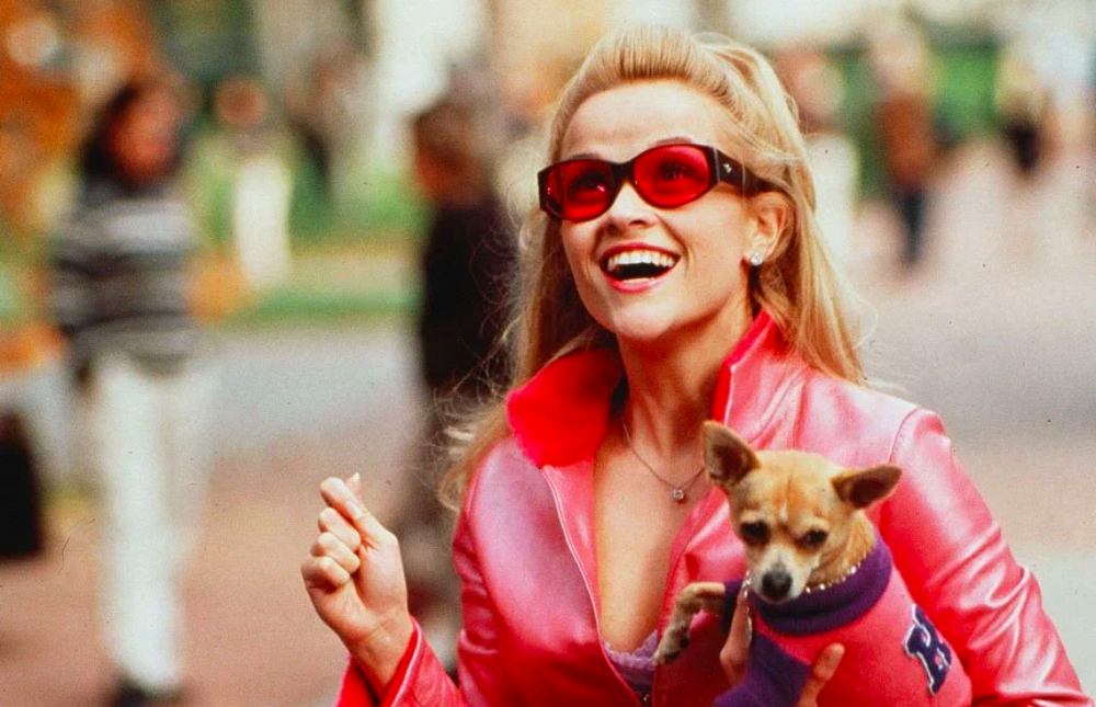 Legally Blonde FEM FEM