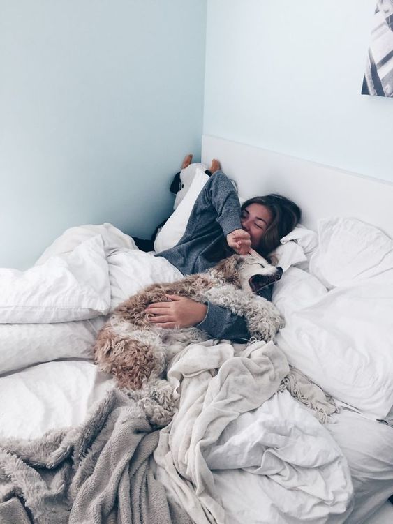 Bed FEM FEM
