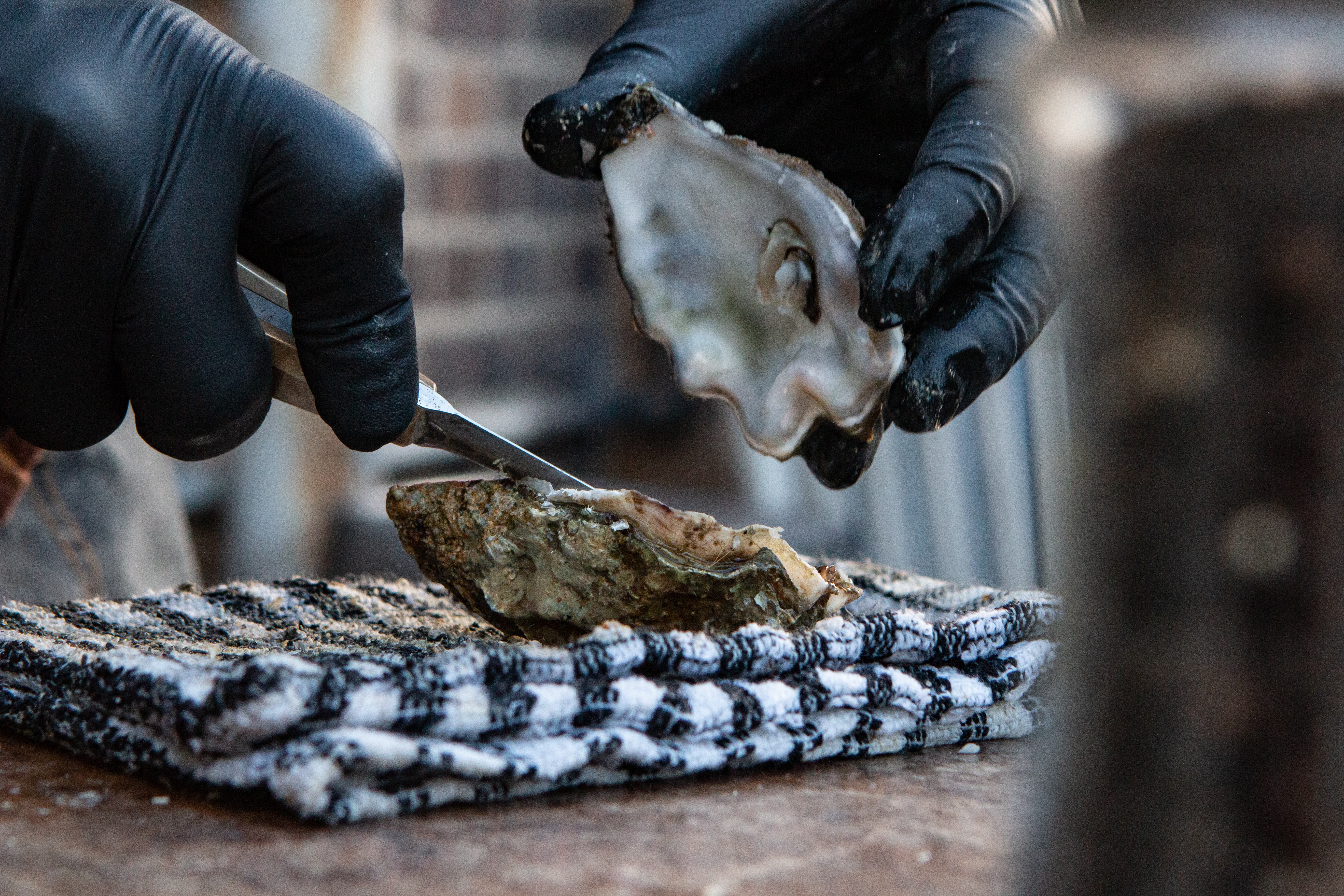 oesters rapen 2