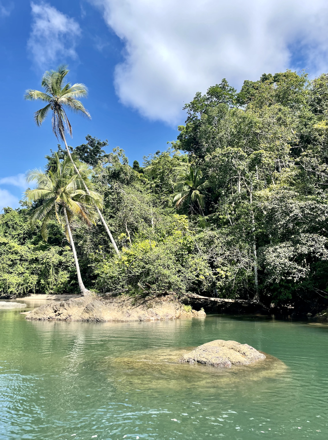 Corcovado National Park