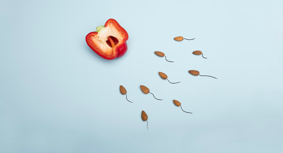 vruchtbaarheidstest vrouw man trouwen